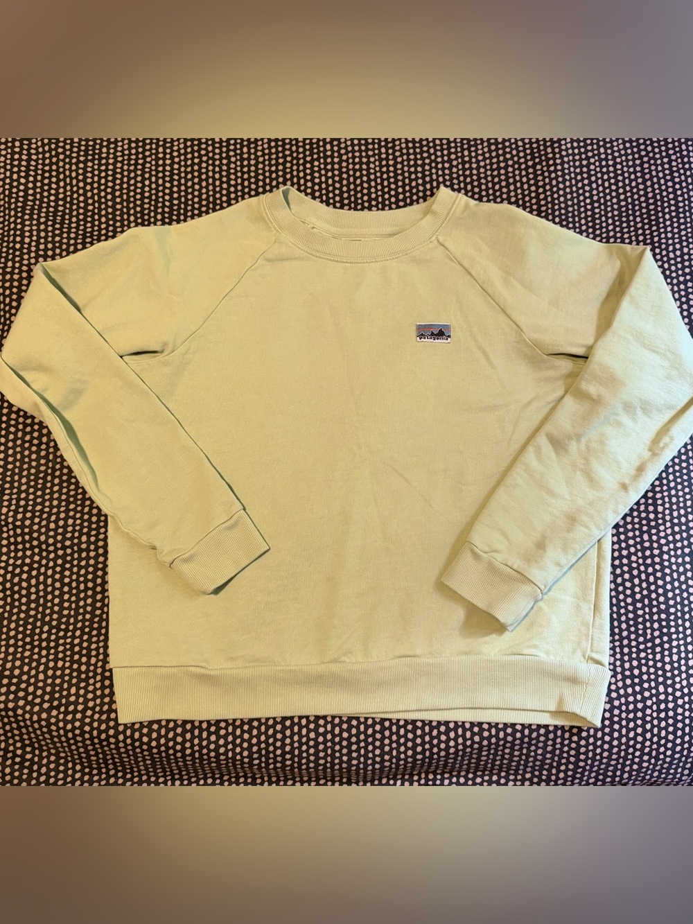 Patagonia Regenerative Organic Certified Cotton Essential Crew Neck Sweatshirt